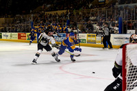 Stephen_Alvo_Goal_4262_No_Crop
