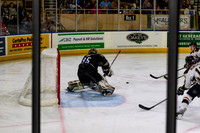 Tyler_Roy_1693_No_Crop