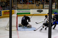 Tyler_Roy_1695_No_Crop