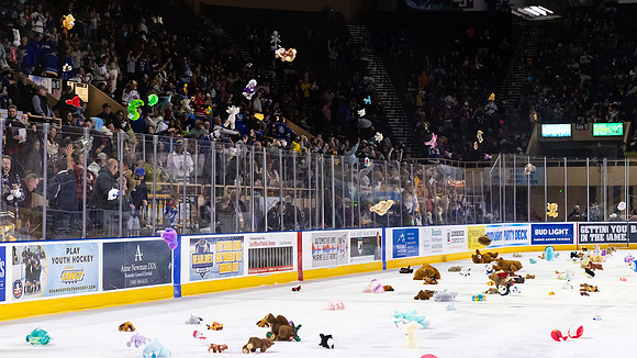TBear_Toss_23349_5437_16x9_Full