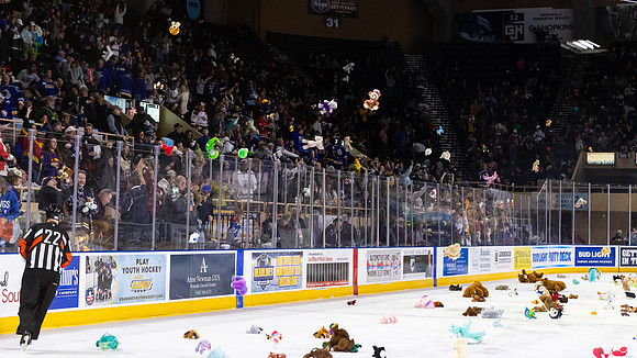 TBear_Toss_23349_5438_16x9_Full