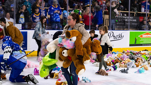 TBear_Toss_23349_5513_16x9_Full