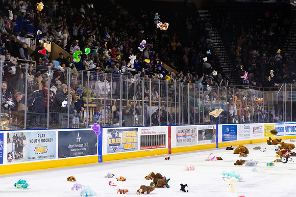TBear_Toss_23349_5437_4x6