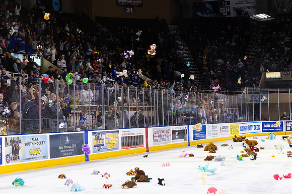 TBear_Toss_23349_5438_4x6