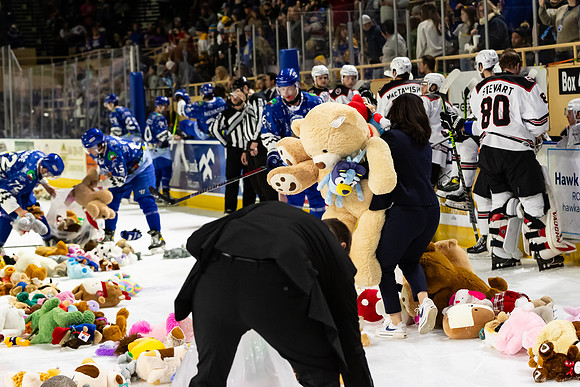 TBear_Toss_23349_5468_4x6