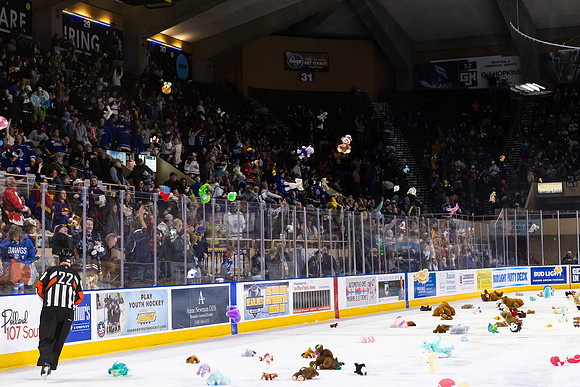 TBear_Toss_23349_5438_No_Crop