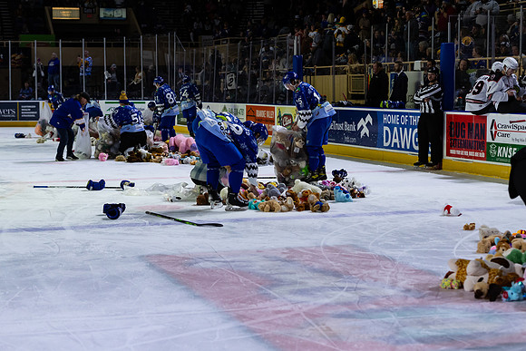 TBear_Toss_23349_5483_No_Crop