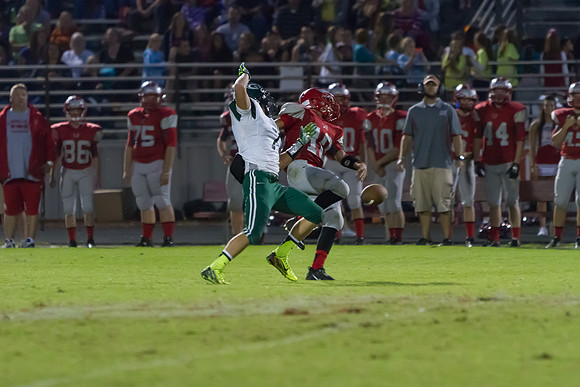 Robin Stigall and Bobby Staples contend for a pass.